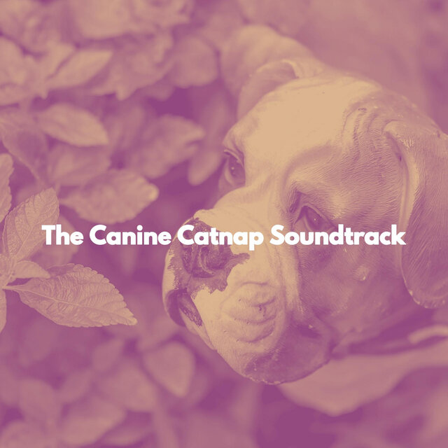 The Canine Catnap Soundtrack