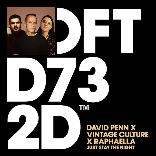 Just Stay The Night (Extended Mix)