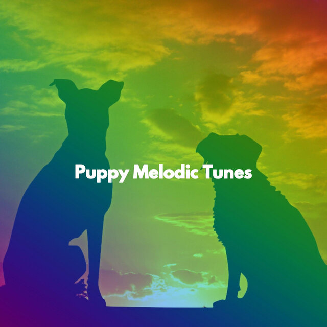Puppy Melodic Tunes
