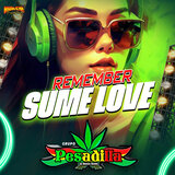 Remember Summer Love