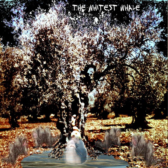 The Whitest Whale