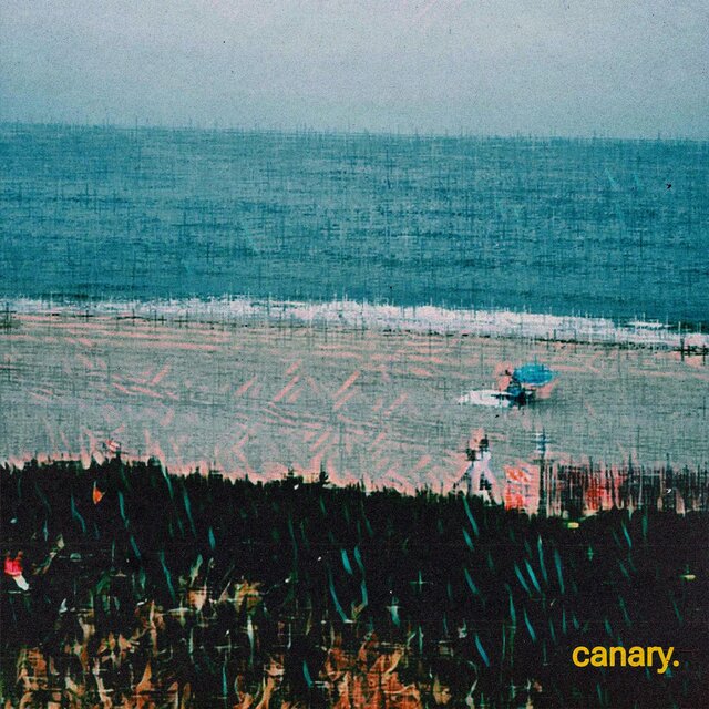 canary.