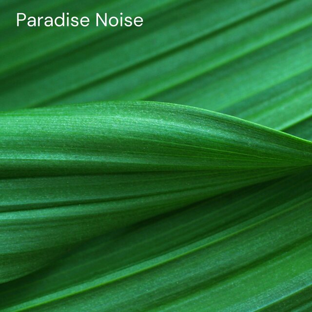 Paradise Noise
