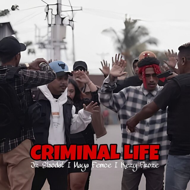 Criminal Life