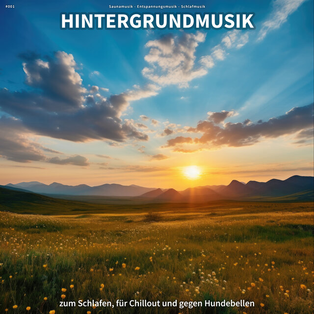 #001 Hintergrundmusik zum Schlafen, für Chillout und gegen Hundebellen