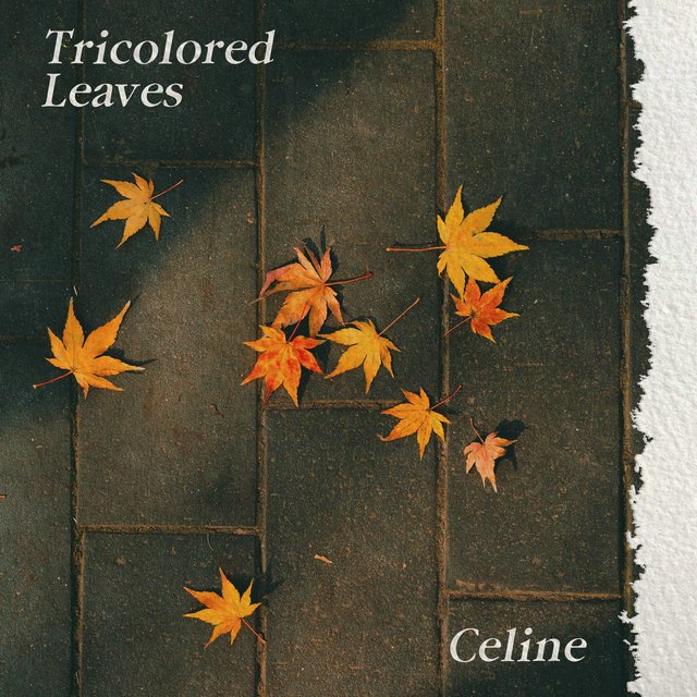 Tricolored Leaves
