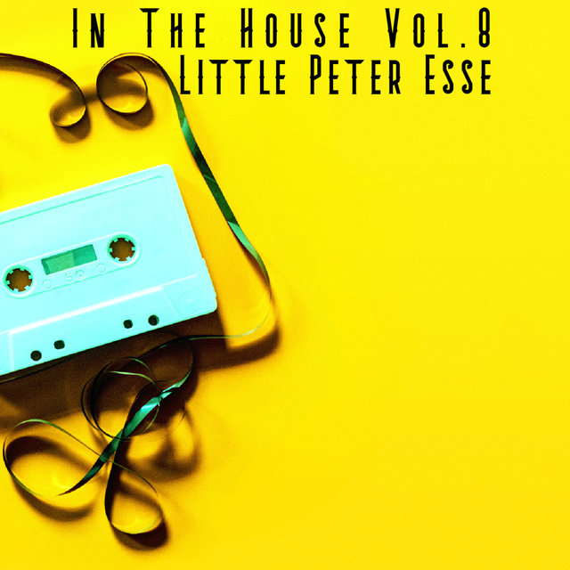 In The House Vol.8