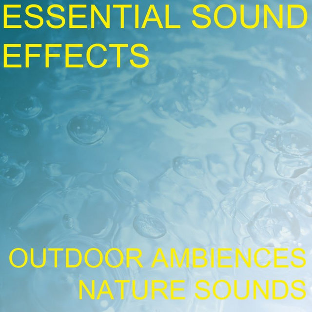Essential Sound Effects 1 - Outdoor Ambiences, Nature Sounds by ...