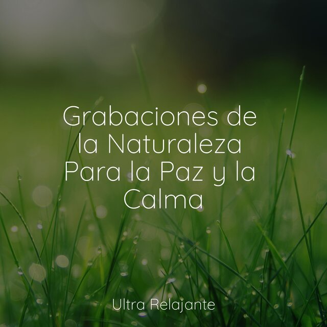 Grabaciones de la Naturaleza Para la Paz y la Calma