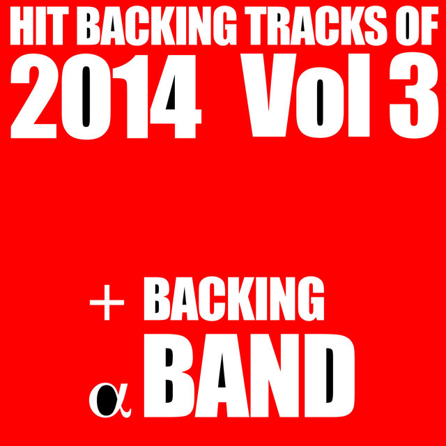 Hit Backing Tracks 2014, Vol. 3