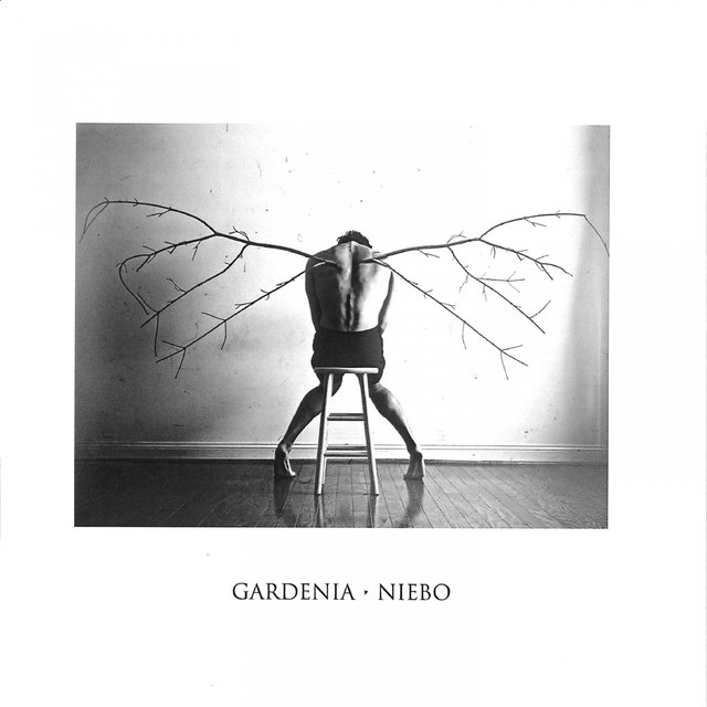 Niebo