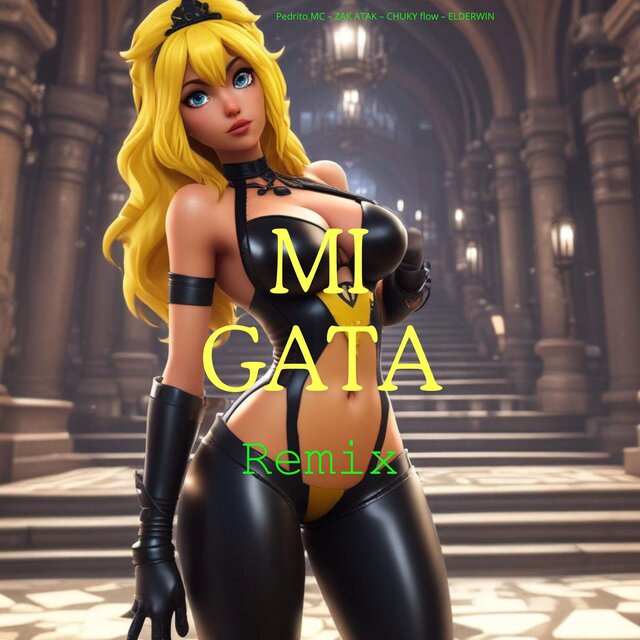 Mi Gata (Remix)