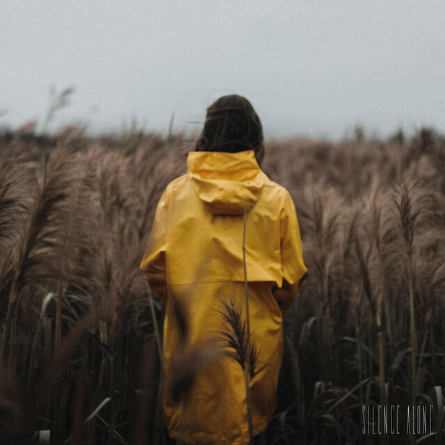 Silence Alone