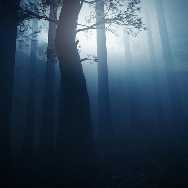 The Lanternwood Tales