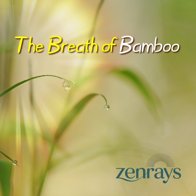 The Breath of Bamboo