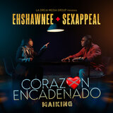 Corazón Encadenado