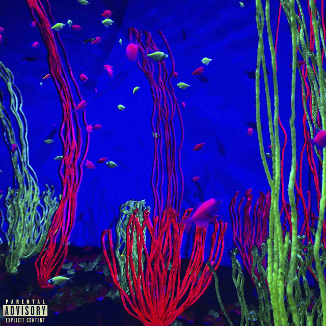 Acuario
