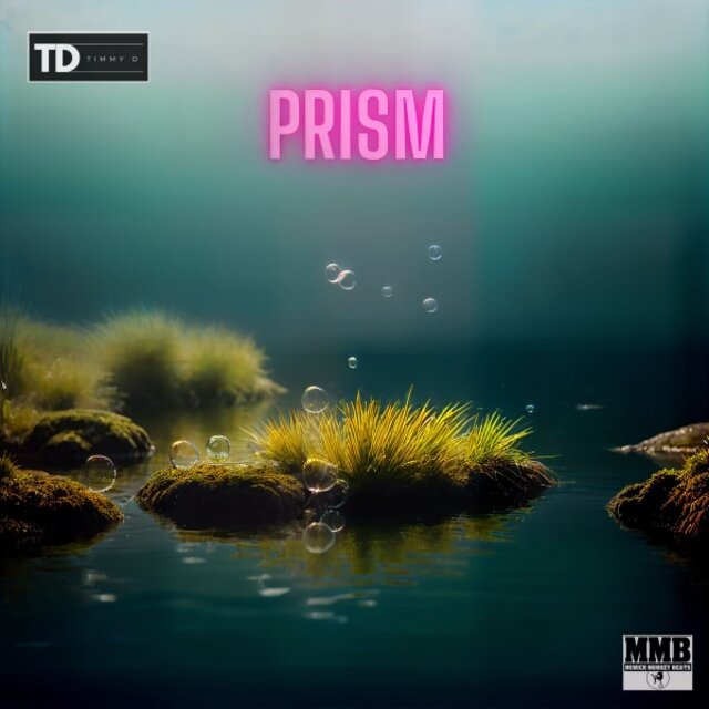 Cover art for album Prism by Timmy D, Munich Monkey Beats