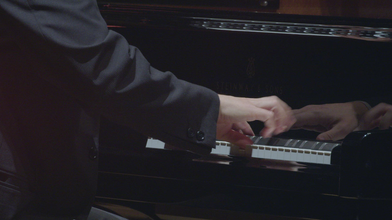 Sonata No. 16 in D Major, D. 850: III. Scherzo & Trio – Allegro vivace
