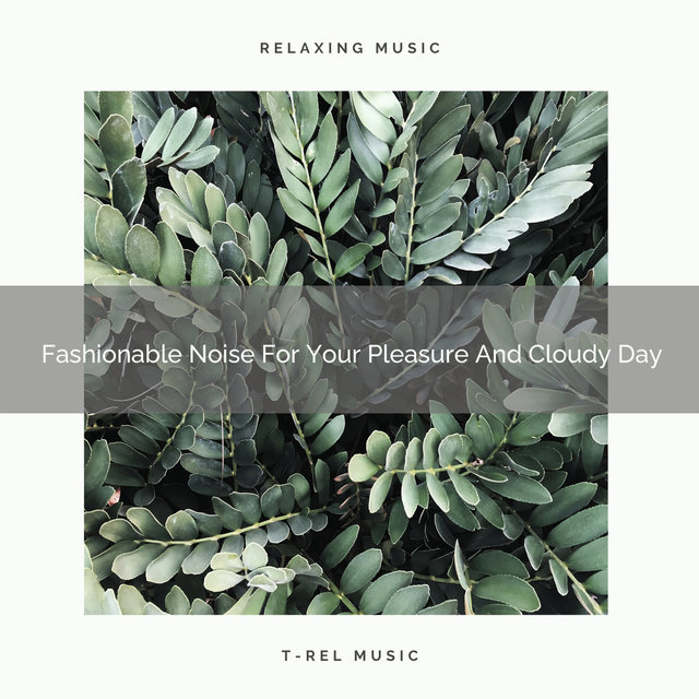 Fashionable Noise For Your Pleasure And Cloudy Day