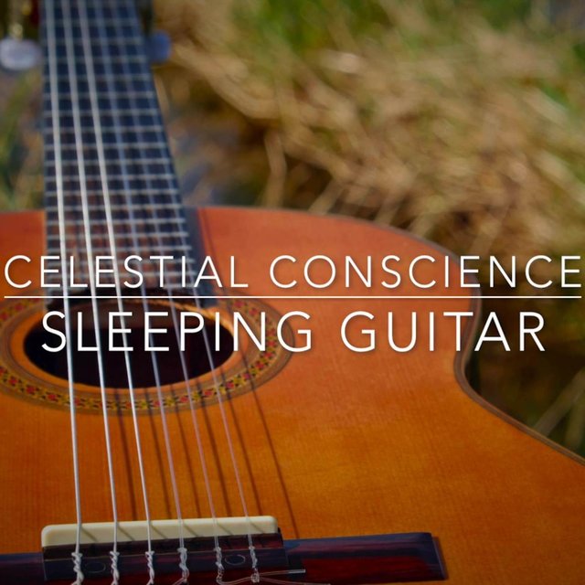 Sleeping Guitar