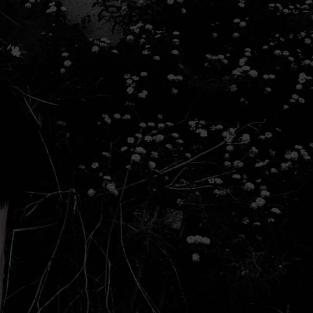 offline.
