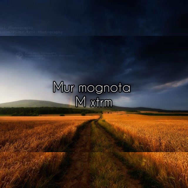 MUR MOGNOTA
