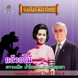 เพลินแสงจันทร์