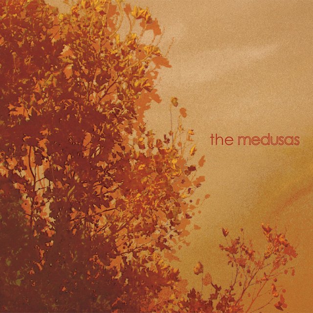 The Medusas
