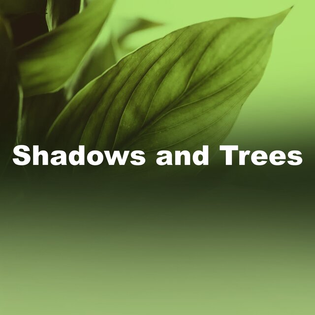Shadows and Trees