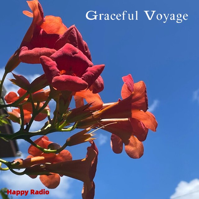 Graceful Voyage