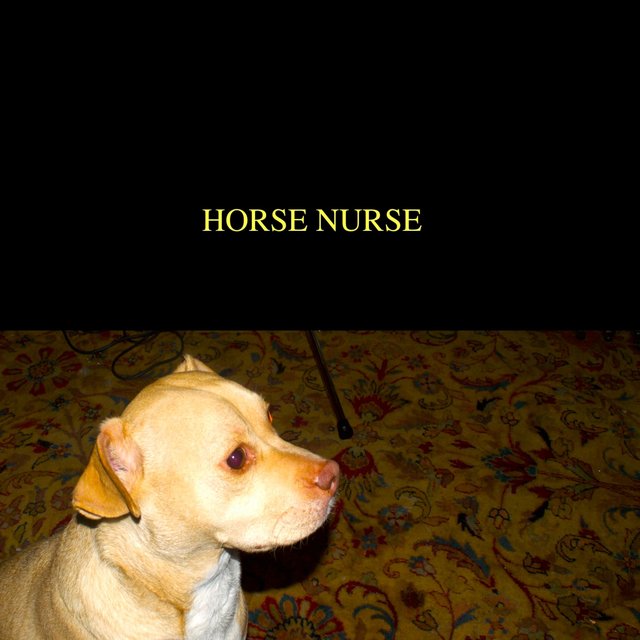 Horse Nurse