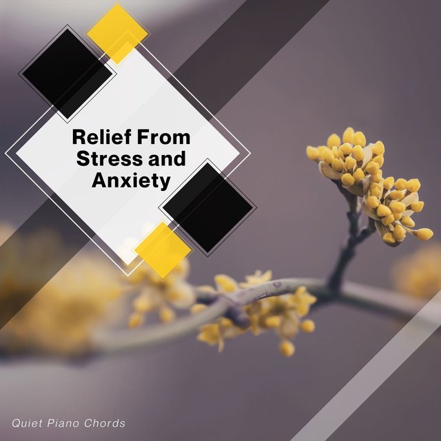 Relief From Stress And Anxiety - Quiet Piano Chords