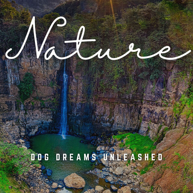 Dog Dreams Unleashed: Lullabies for Pups