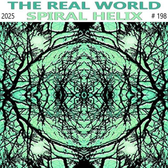 The Real World