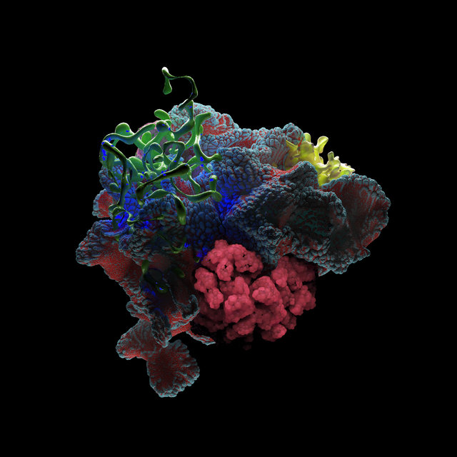 Cover art for album Dixon & Âme Present Limbo by Various Artists