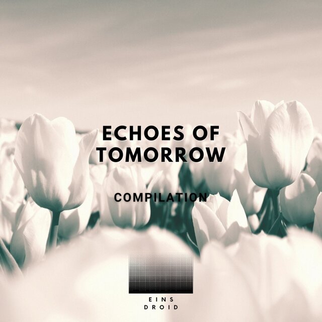 Echoes of Tomorrow