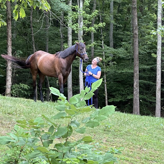 Southern Canter