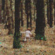 Cover art for album A Mountain for President by Principles of Geometry