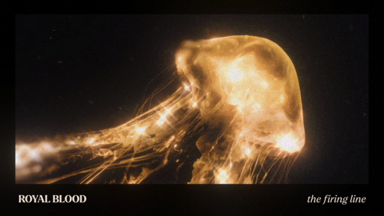 The Firing Line (Visualiser Video)