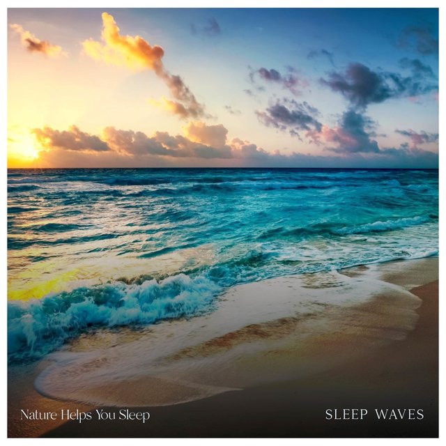 Sleep Waves