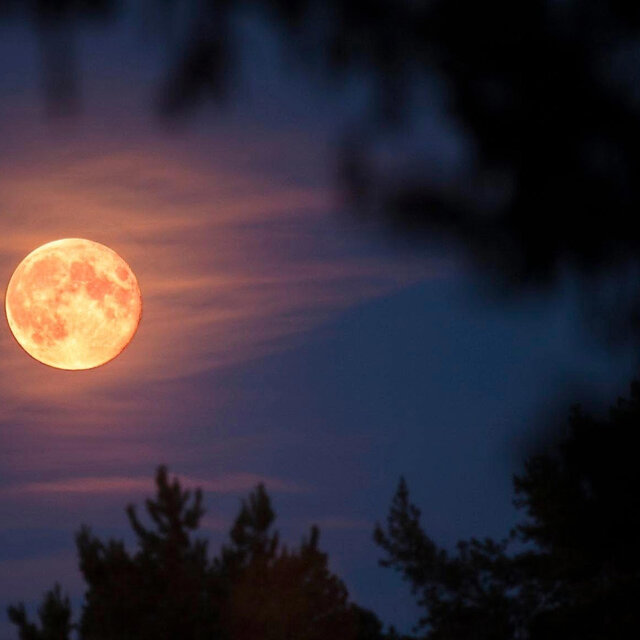 Strawberry Moon