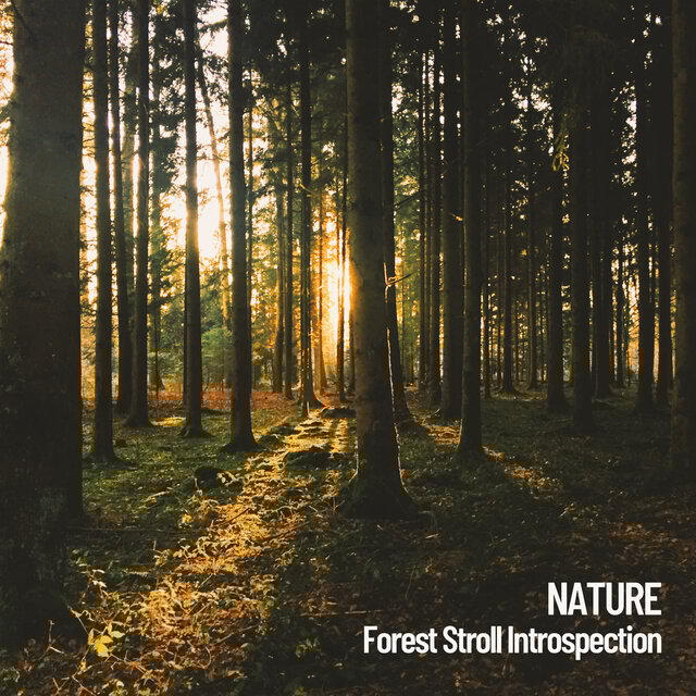 Nature: Forest Stroll Introspection
