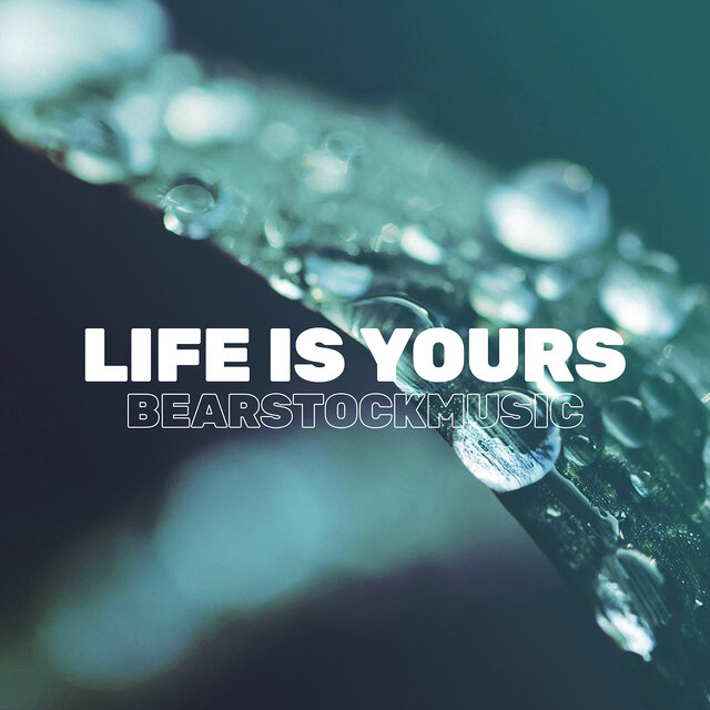 Life Is Yours