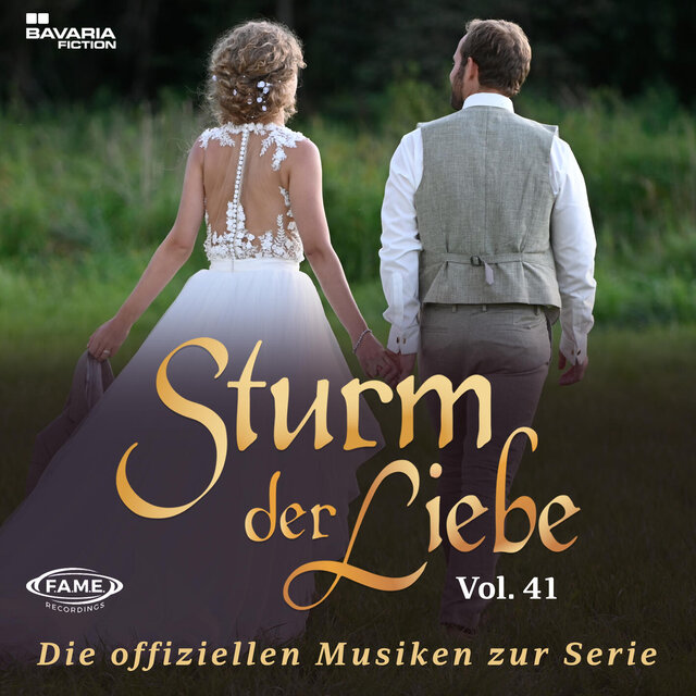 Die offiziellen Musiken zur Serie Vol.41