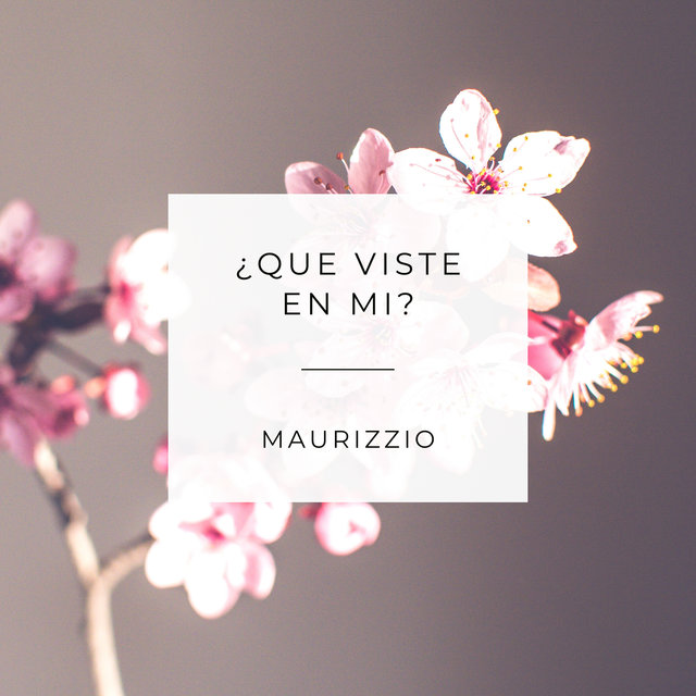 ¿Que Viste en Mi?