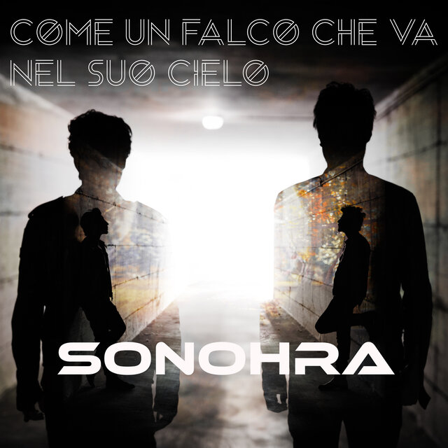 Come un falco che va nel suo cielo
