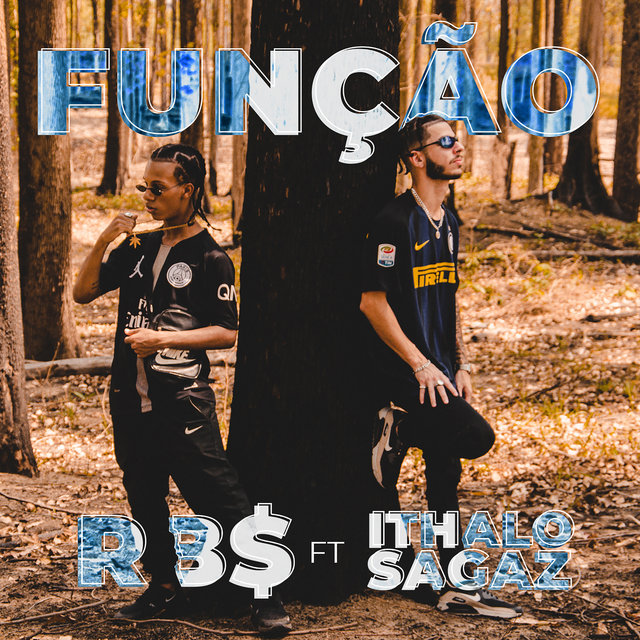 Função