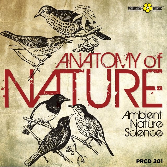 Anatomy of Nature