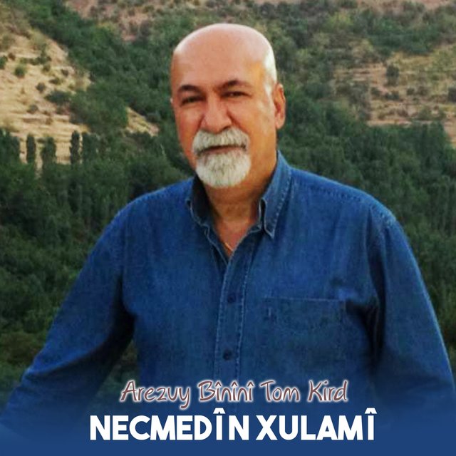 Arezuy Bînînî Tom Kird
